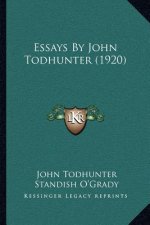 Essays by John Todhunter (1920)