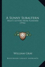 A Sunny Subaltern: Billy's Letters from Flanders (1916)