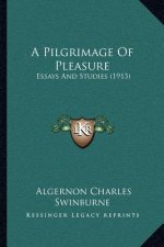 A Pilgrimage of Pleasure: Essays and Studies (1913)