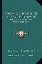 Botanical Names of the Wild Flowers: What They Mean, How Pronounced (1917)
