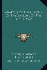 Analysis of the Gospels of the Sundays of the Year (1892)