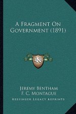 A Fragment on Government (1891)