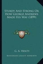 Sturdy and Strong or How George Andrews Made His Way (1899)