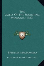 The Valley of the Squinting Windows (1920)