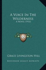 A Voice in the Wilderness: A Novel (1916)