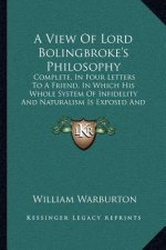 A View of Lord Bolingbroke's Philosophy: Complete, in Four Letters to a Friend, in Which His Whole System of Infidelity and Naturalism Is Exposed and