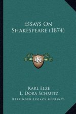 Essays on Shakespeare (1874)