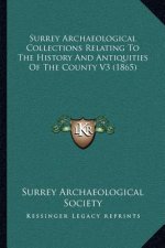 Surrey Archaeological Collections Relating To The History And Antiquities Of The County V3 (1865)