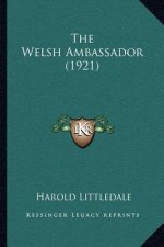 The Welsh Ambassador (1921)