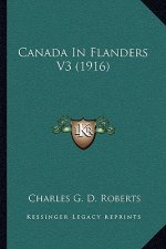 Canada in Flanders V3 (1916)