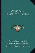 Mexico in Revolution (1920)