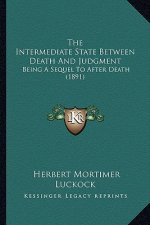 The Intermediate State Between Death and Judgment: Being a Sequel to After Death (1891)