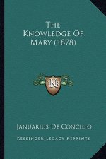 The Knowledge of Mary (1878)