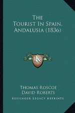 The Tourist in Spain, Andalusia (1836)
