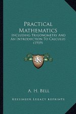 Practical Mathematics: Including Trigonometry and an Introduction to Calculus (1919)