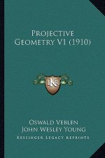 Projective Geometry V1 (1910)