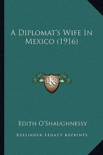 A Diplomat's Wife in Mexico (1916)