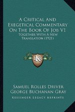 A Critical and Exegetical Commentary on the Book of Job V1: Together with a New Translation (1921)