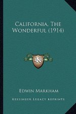 California, the Wonderful (1914)