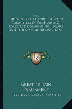 The Evidence Taken Before the Select Committees of the Houses of Lords and Commons, to Inquire Into the State of Ireland (1825)