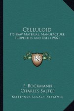 Celluloid: Its Raw Material, Manufacture, Properties and Uses (1907)