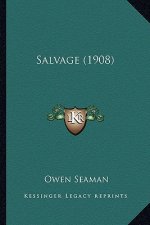 Salvage (1908)