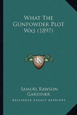 What the Gunpowder Plot Was (1897)
