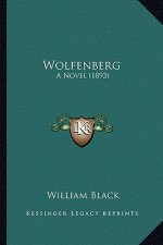 Wolfenberg: A Novel (1893) a Novel (1893)