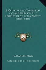 A Critical and Exegetical Commentary on the Epistles of St. Peter and St. Jude (1901)