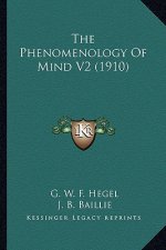 The Phenomenology of Mind V2 (1910) the Phenomenology of Mind V2 (1910)