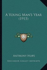 A Young Man's Year (1915) a Young Man's Year (1915)