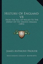 History Of England V8: From The Fall Of Wolsey To The Defeat Of The Spanish Armada (1893)