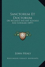 Sanctorum Et Doctorum: Or Ireland's Ancient Schools and Scholars (1897) or Ireland's Ancient Schools and Scholars (1897)