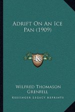 Adrift on an Ice Pan (1909)