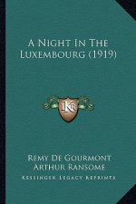 A Night in the Luxembourg (1919)