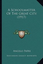 A Schoolmaster of the Great City (1917)