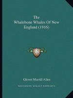 The Whalebone Whales of New England (1916)