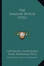 The Shadow Witch (1922)