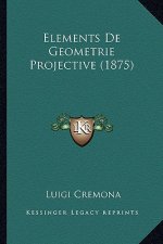 Elements de Geometrie Projective (1875)