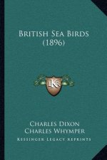 British Sea Birds (1896)