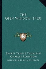 The Open Window (1913)