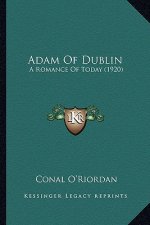 Adam of Dublin: A Romance of Today (1920)