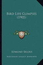 Bird Life Glimpses (1905)