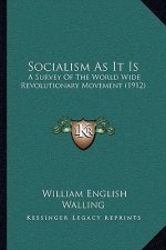 Socialism as It Is: A Survey of the World Wide Revolutionary Movement (1912)