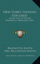 New York's Inferno Explored: Scenes Full of Pathos Powerfully Portrayed (1891)