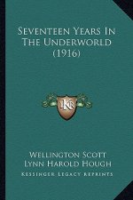 Seventeen Years In The Underworld (1916)
