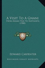 A Visit to a Gnani: From Adams Peak to Elephanta (1900)