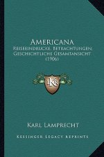 Americana: Reiseeindrucke, Betrachtungen, Geschichtliche Gesamtansicht (1906)