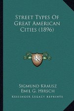 Street Types of Great American Cities (1896)