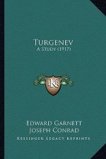 Turgenev: A Study (1917)